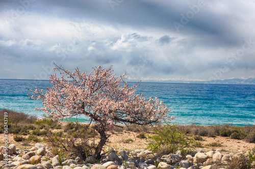 issykkul photo