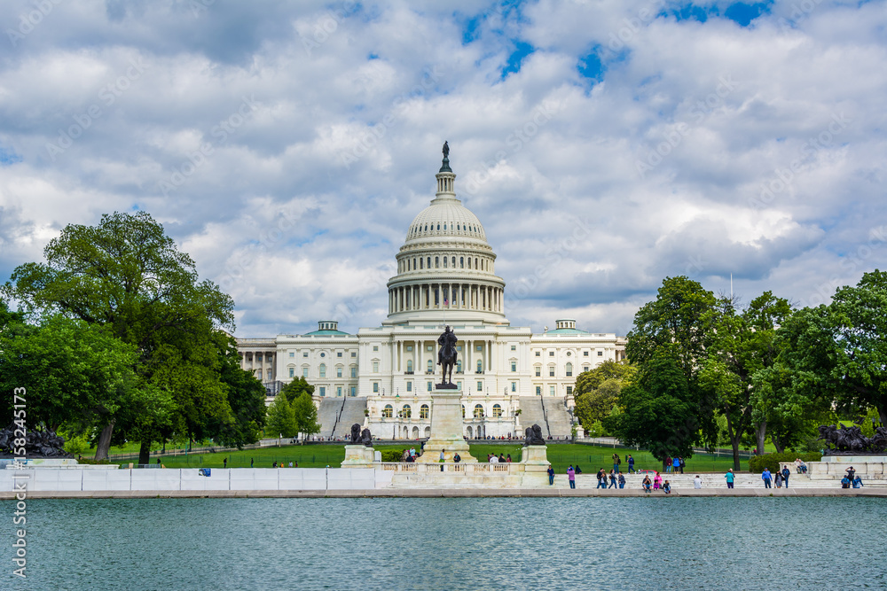 Fototapeta premium The Reflecting Pool and United States Capitol in Washington, DC.