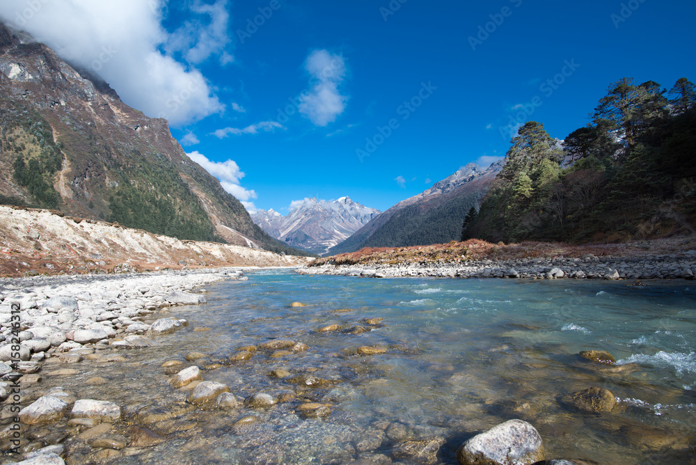 Obraz premium Yumthang Valley, India