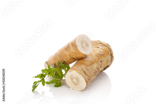 Horseradish isolated on white background