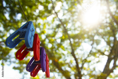 Colourful Clothespin Over Green Tree Background And Sun Flare On Sunny Day photo