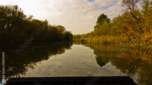 Boat is sailing through swamp channels on a sunny morning at protected natural swamp area of Carska bara, large natural habitat for birds and other animals in north Serbia photo