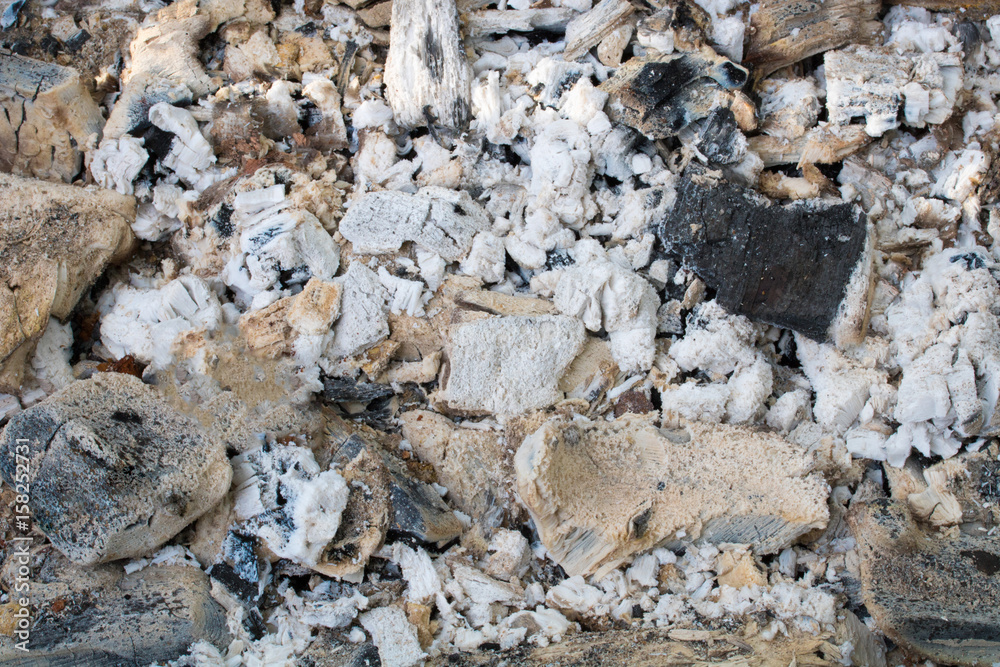 Fototapeta premium wooden ash