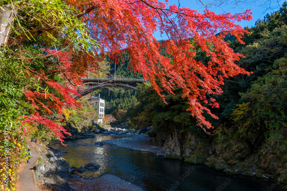 Mitake town and Tama river, beautiful small town in autumn season.
