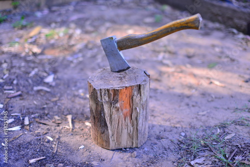 Hatchet in log