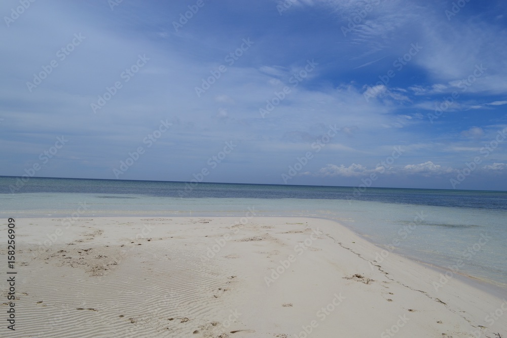Philippines beach with coconut and ocean view Philippines beach with coconut and ocean view