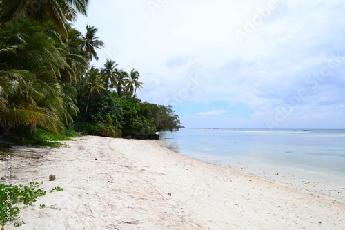 Philippines beach with coconut and ocean view