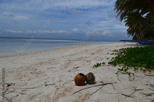 Philippines beach with coconut and ocean view