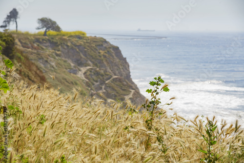 Beautiful scene around Point Fermin Lighthouse photo