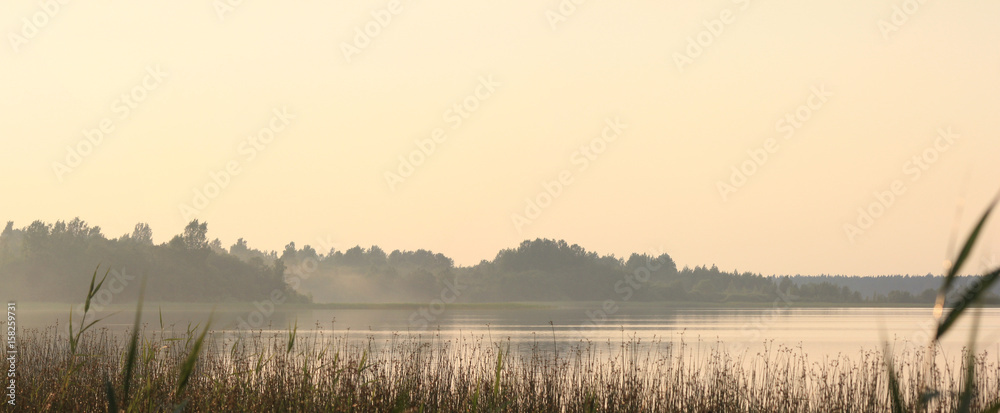 Panoramic view of the shore of the forest lake in the fog Panoramic view of the shore of the forest lake in the fog