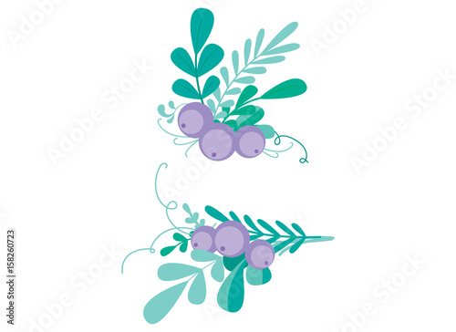 Cute vector combination with hand-drawn floral elements and branches. Stylish simple design. Vector illustration.