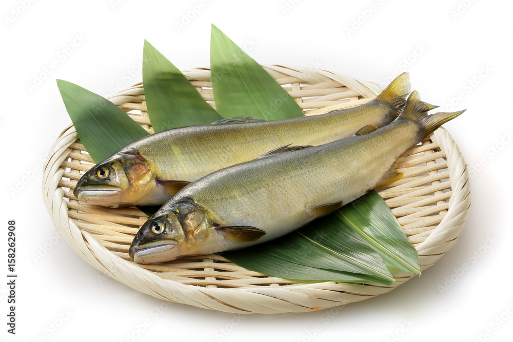 鮎 Japanese sweetfish 鮎 Japanese sweetfish