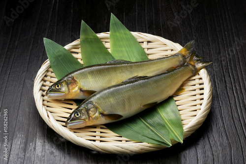 鮎　Japanese sweetfish photo