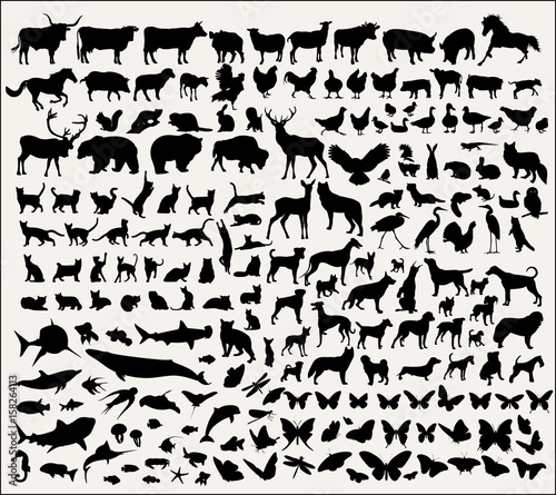 Collection of vector animal silhouettes 