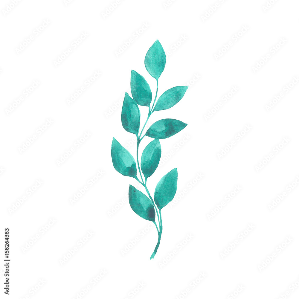 Obraz premium Bright watercolor leaf isolated