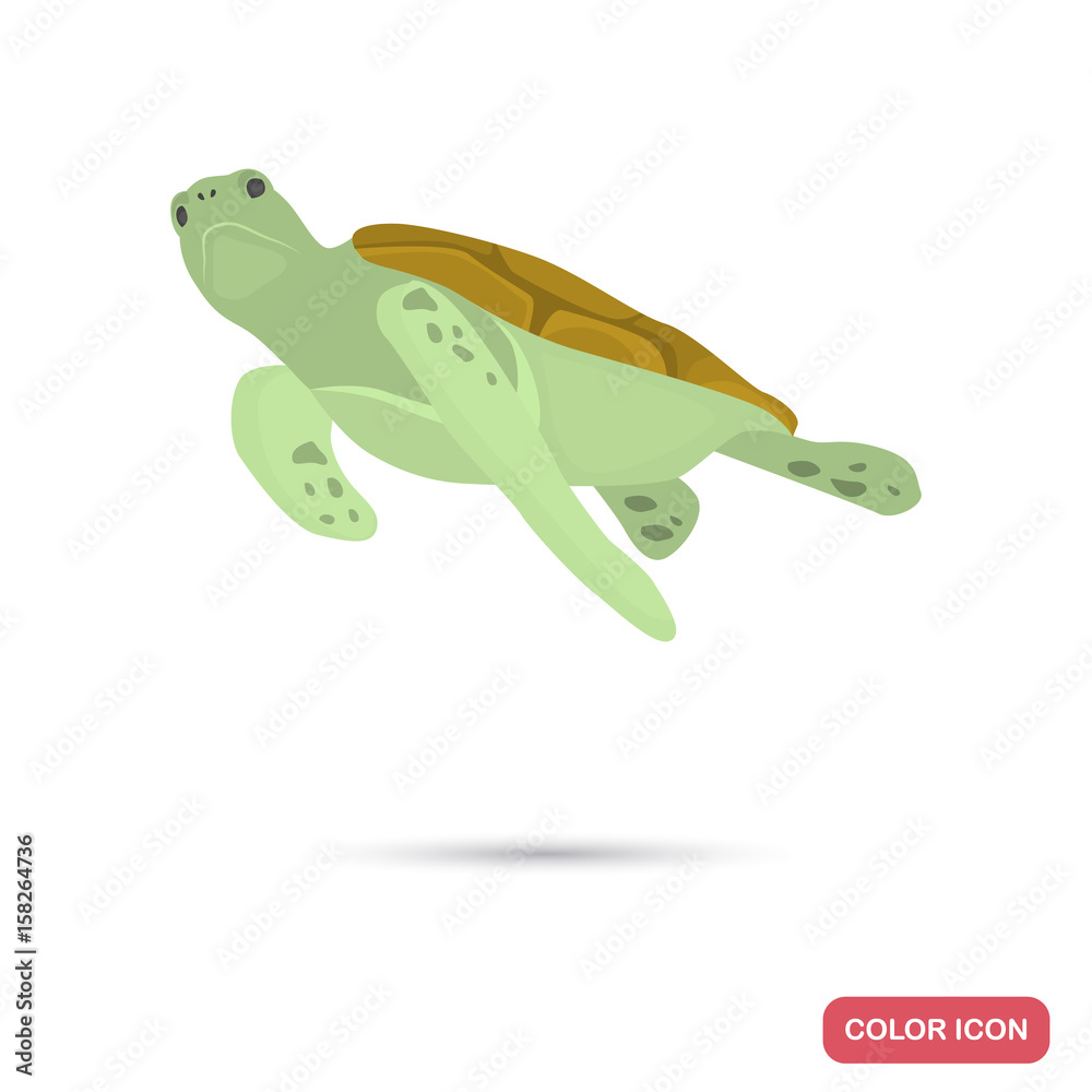 Fototapeta premium Sea turtle color flat icon for web and mobile design