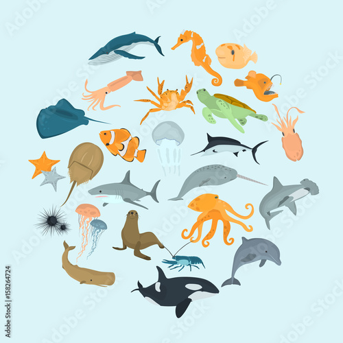 Set of sea animals color flat icons for web and mobile design