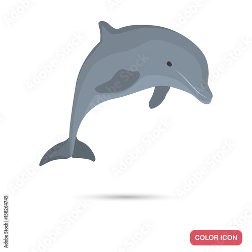 Dolphin color flat icon for web and mobile design