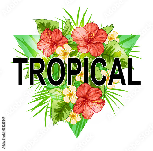 Fototapeta Naklejka Na Ścianę i Meble -  Abstract triangle tropical background