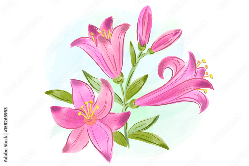 beautiful gift card with pink watercolor lilies beautiful gift card with pink watercolor lilies