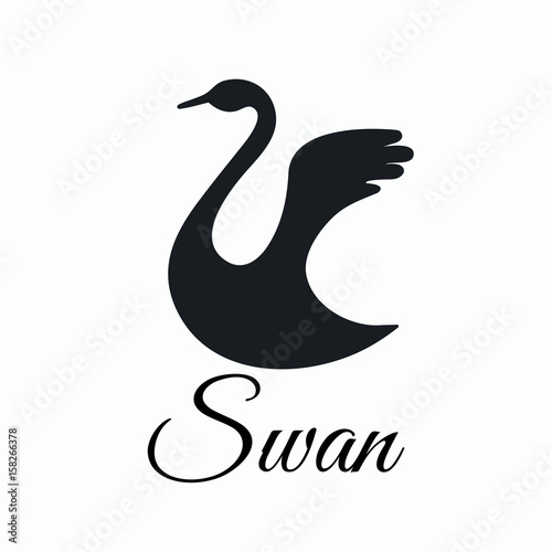 Fototapeta Naklejka Na Ścianę i Meble -  Flying swan