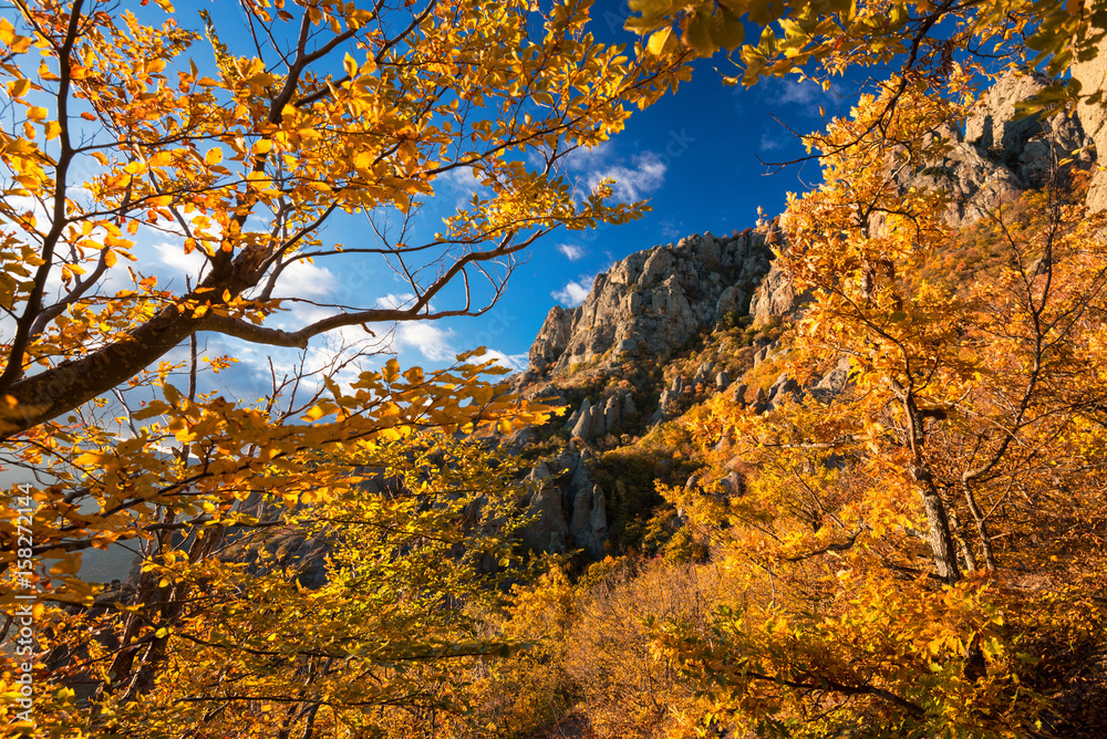 Beautiful Autumn Mountain Landscape At Bright Sunshine Day  With Sunlit Trees  On Background Of Blue Sky. Autumn Forest With Fallen Leaves & Trees With The Top Of The Mountains. Crimea, Russia, Krym