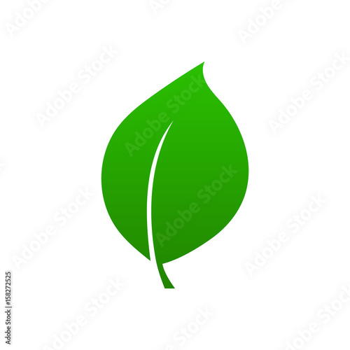 Leaf vector. Logo.