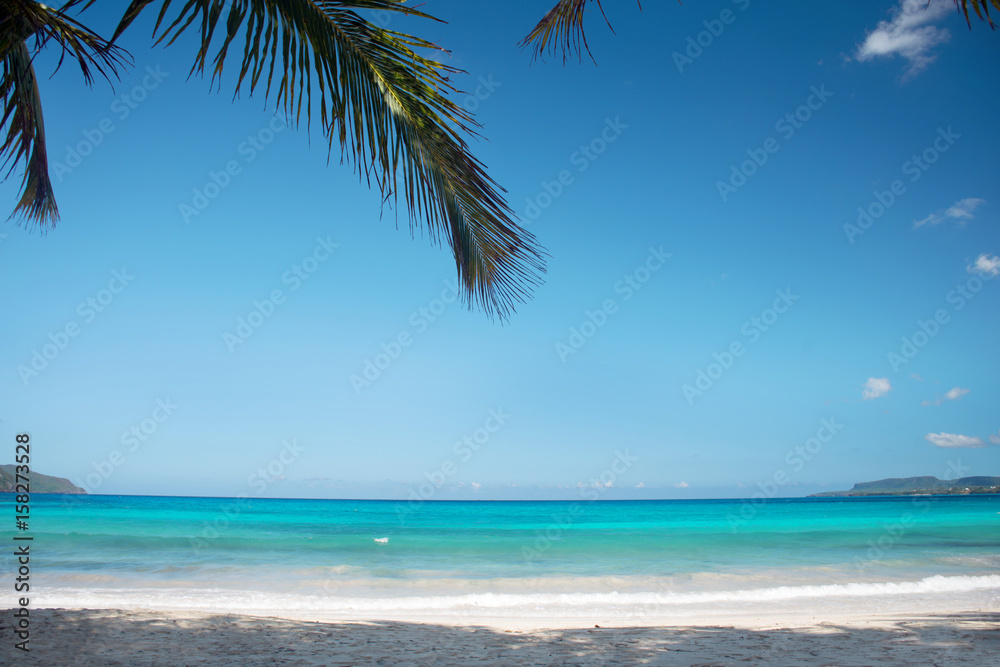 fantastic superb caribbean beach with palm trees. the breathtaking color of the sea. Vacation concept. Dominican Republic