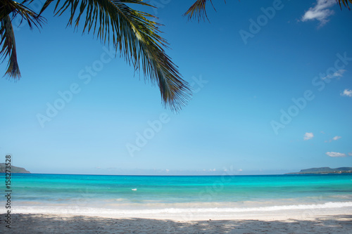 Fototapeta Naklejka Na Ścianę i Meble -  fantastic superb caribbean beach with palm trees. the breathtaking color of the sea. Vacation concept. Dominican Republic