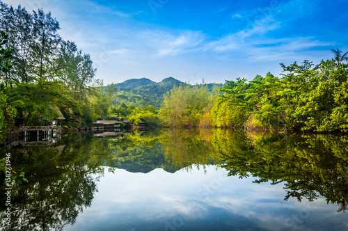 Landscape view of reflection forest © toktak_kondesign