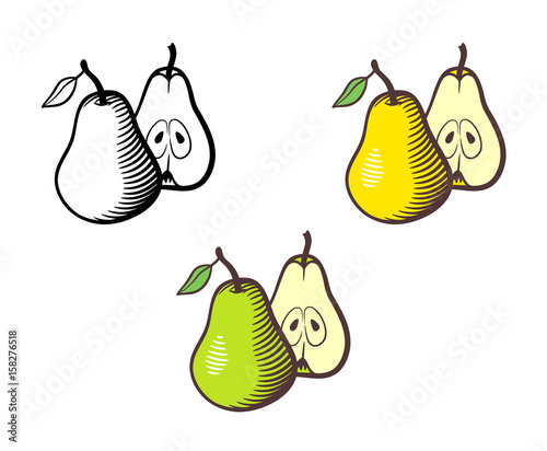 Vector hand drawn illustration of pear. Whole fruit with stem and leaf and cross section with seeds. Yellow, green and outline version