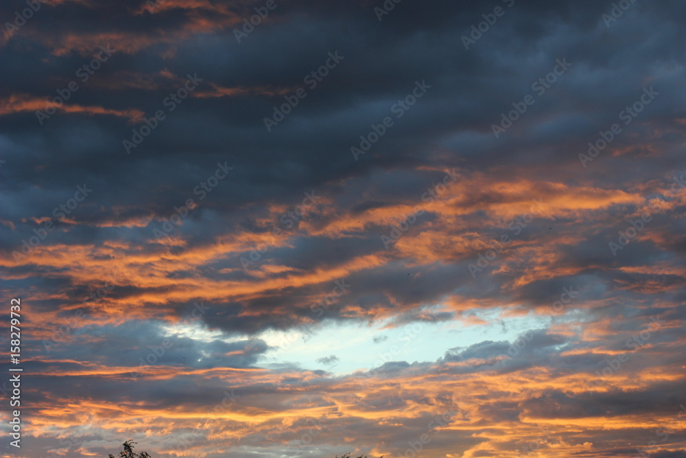 Fototapeta premium dark clouds at sunset with flying Swifts