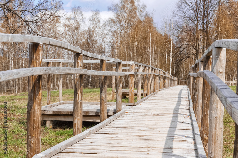 Wooden bridge pathway through the forest in galicia spain