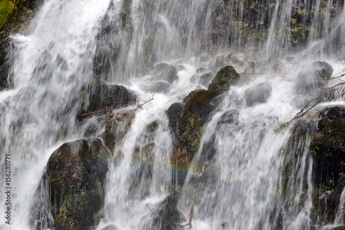 Cascading waterfall in coniferous forest  near Portland Oregon  environmental areas which are threatened by increasing development and pollution