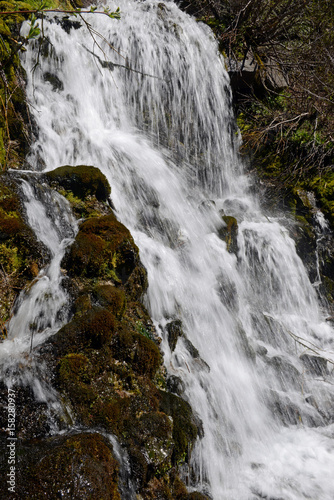 Cascading waterfall in coniferous forest, near Portland Oregon, environmental areas which are threatened by increasing development and pollution