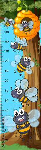 height measurement chart bees flying