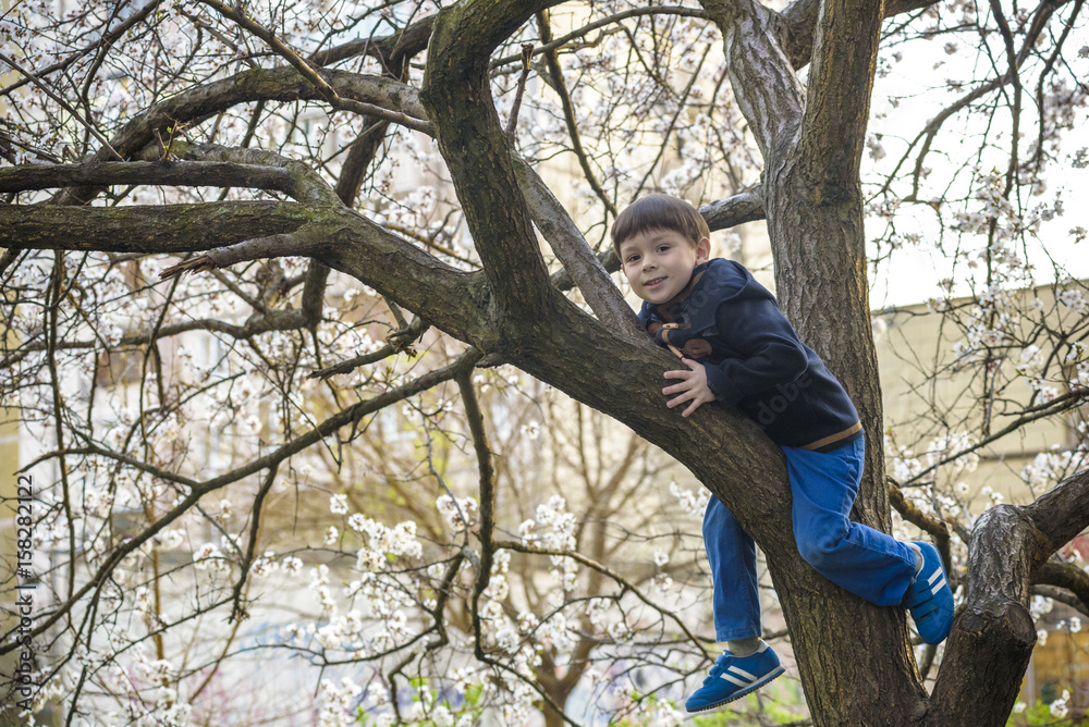 boy kid hanging from a blossom spring tree and having fun in the nature boy kid hanging from a blossom spring tree and having fun in the nature