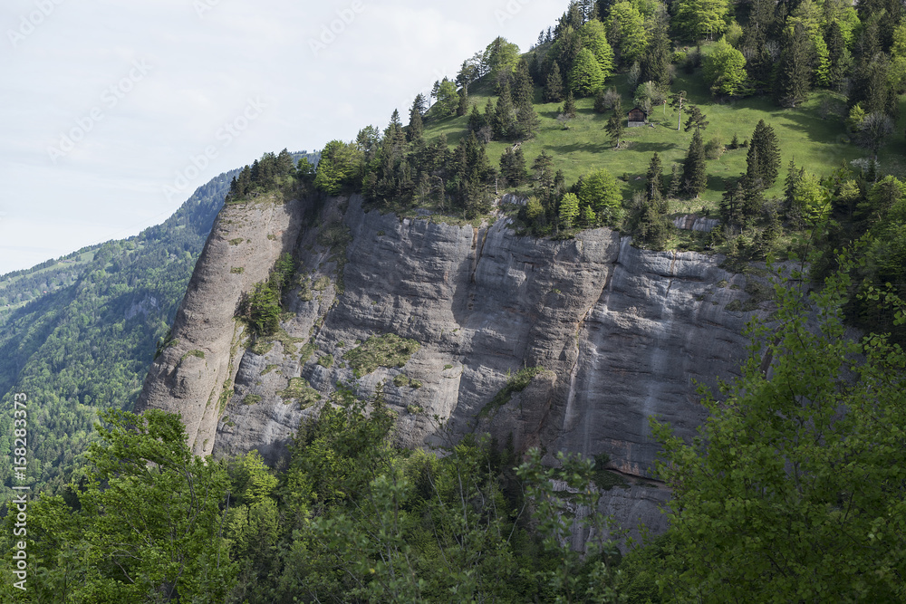 Felswand an der Rigi, ob Vitznau, Schweiz