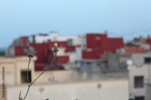 Abdelaziz photo
