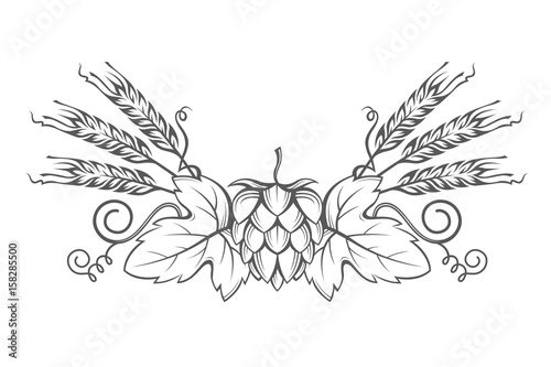 black illustration of hop and barley ear for brewing