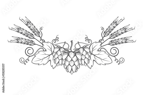 black illustration of hop and barley ear for brewing photo