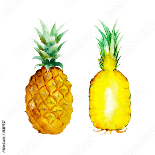 The pineapple isolated on white background, watercolor illustration fruit set in hand drawn style.