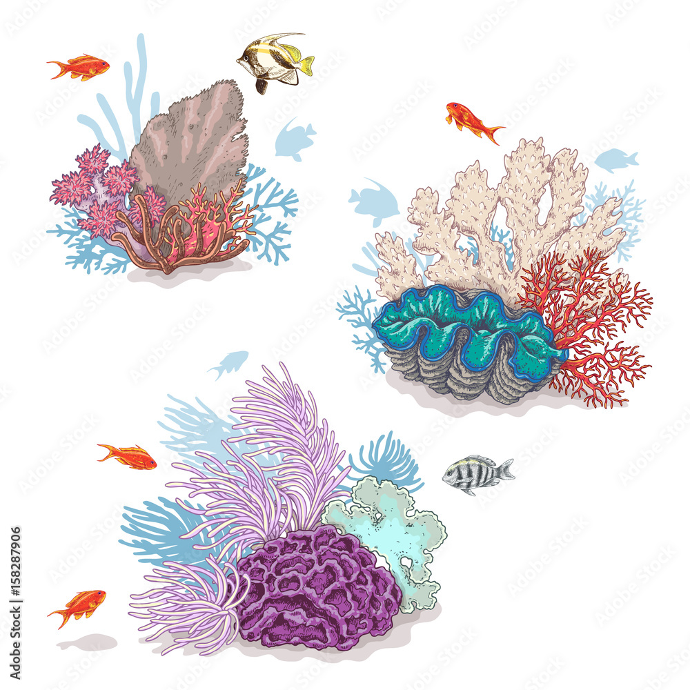 Obraz premium Korale i pływające ryby
