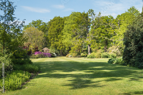 Fototapeta Angielski wiejski ogród w lecie