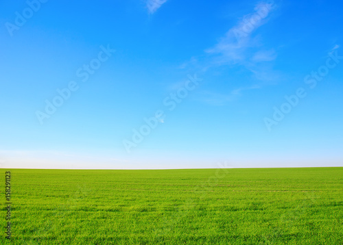 Summer landscape - field with green grass against a blue sky with clouds