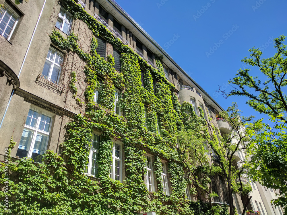 Begrünte Hausfassade mit Kletterpflanzen