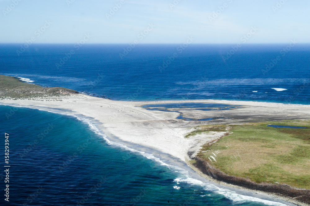 Sealion Island der Falklands