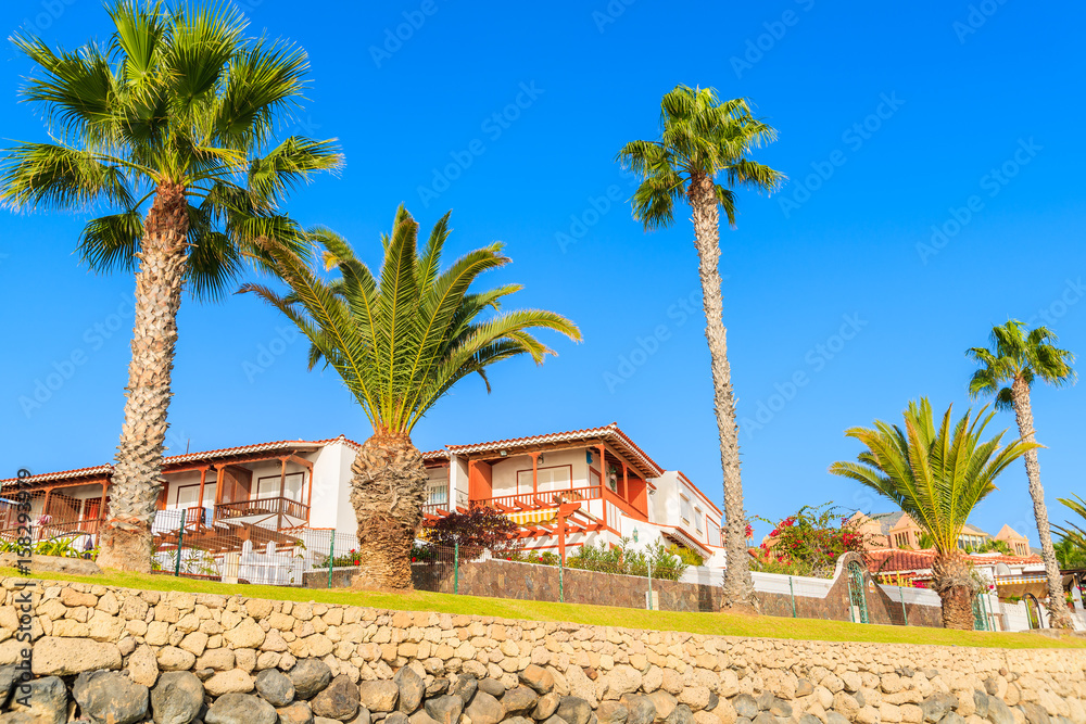Palm trees and traditional apartments on blue sky background in Costa Adeje town, Tenerife, Canary Islands, Spain