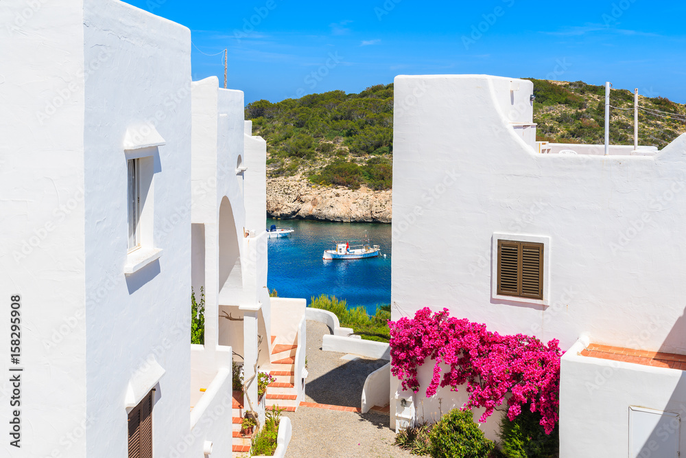Traditional white houses decorated with flowers and view of fishing boat on sea in Cala Portinatx bay, Ibiza island, Spain