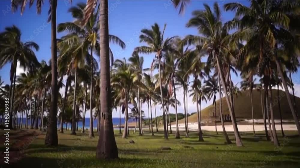 Anakena - Easter Island - Beach Anakena - Easter Island - Beach